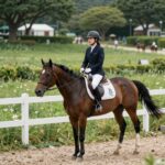 부경경마공원역 대방 디에트르 더리버 조감도와 주변 환경