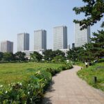 강동 헤리티지 자이 단지 전경과 주변 길동생태공원 조감도