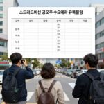 스트라드비젼 공모주 수요예측 결과 표와 유통물량 설명
