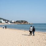 양양 게스트 하우스에서 바라본 해변 전경