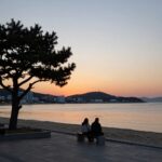 양양 서피비치 선셋바에서 바라본 노을과 야자수 실루엣