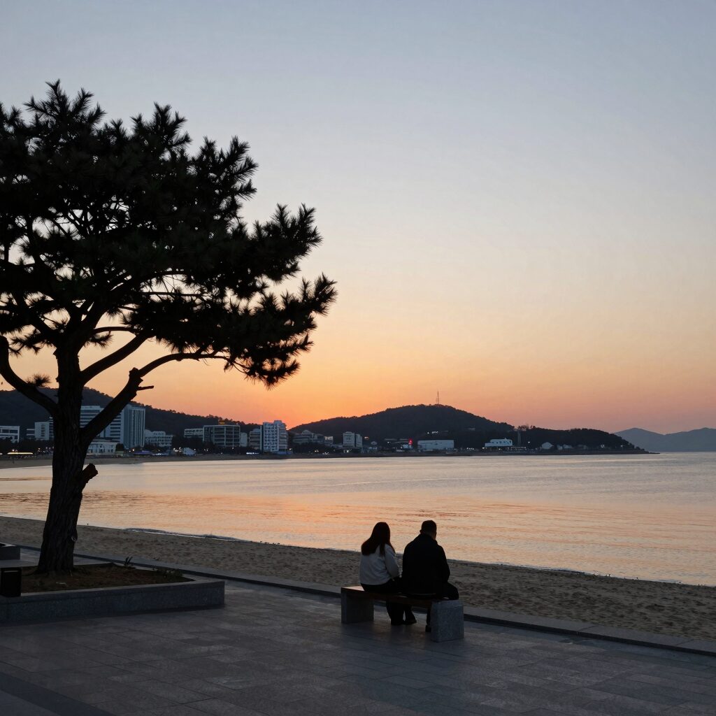 양양 서피비치 선셋바에서 바라본 노을과 야자수 실루엣