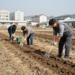 청무우 심는 시기에 맞춰 준비한 텃밭과 파종 기구