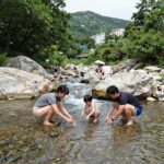 동학사 계곡의 맑은 물과 주변 숲 풍경, 여름 휴가철 가족 단위 방문객들이 물놀이를 즐기고 있는 모습
