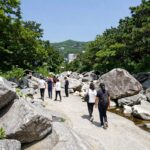 천진암 계곡 물놀이 맛집 추천 천진암 계곡 앵자산장의 토종백숙과 계곡 풍경