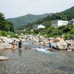 광양 옥룡계곡 백운산 휴양타운 계곡 물놀이와 닭구이