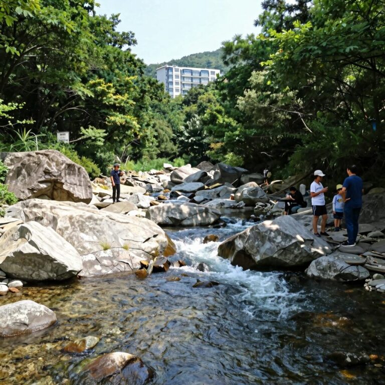 마곡사 계곡 맑은 물과 주변 숲 풍경 여름 피서