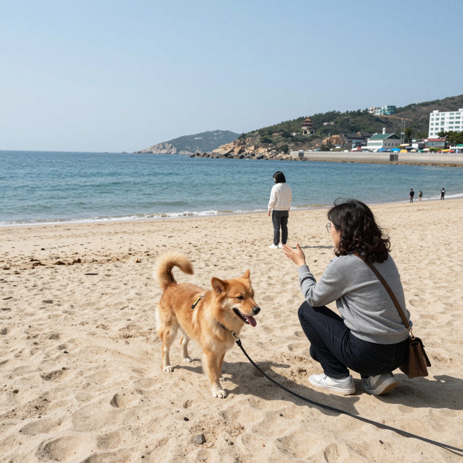 태안 만리포 애견 동반 펜션 바다 전망