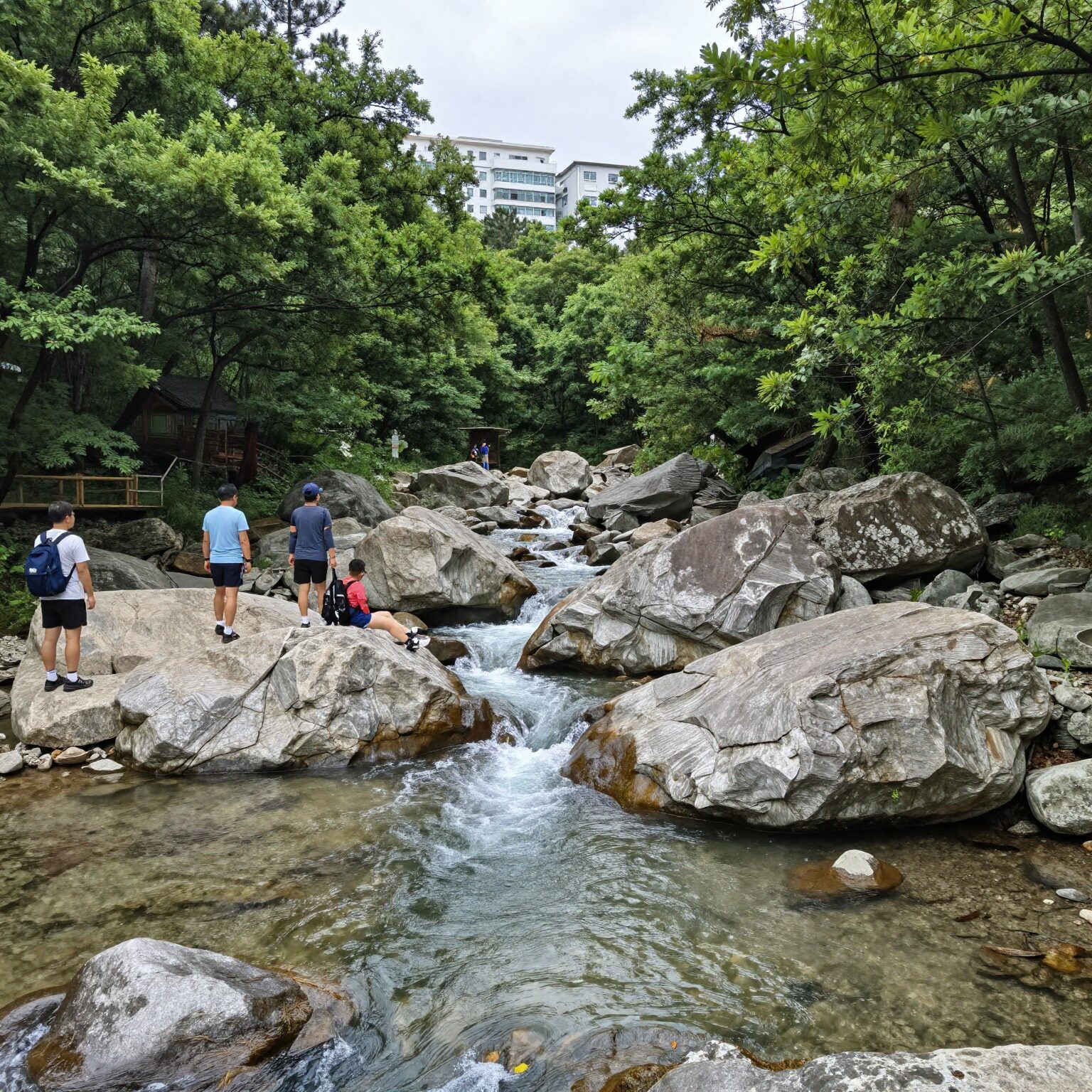 아침가리골 계곡트레킹 코스 조경동교 입구에서 바라본 계곡 모습, 맑은 물과 울창한 숲이 어우러진 풍경