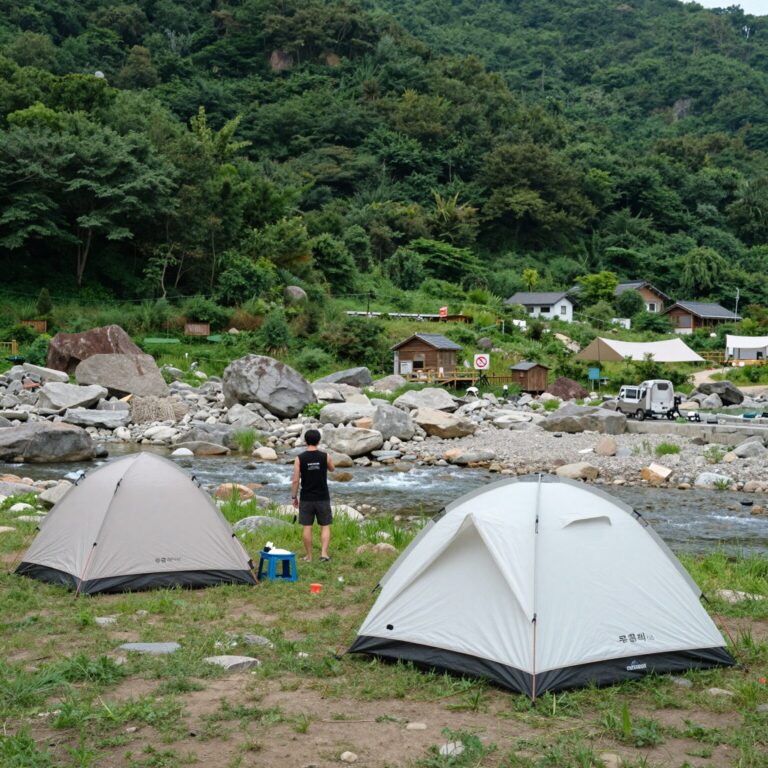 법흥계곡 캠핑장 전경 - 계곡과 텐트 사이트가 보이는 사진