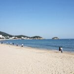 대천 민박 추천 베스트 3 비교 대천해수욕장 백사장과 바다 전경