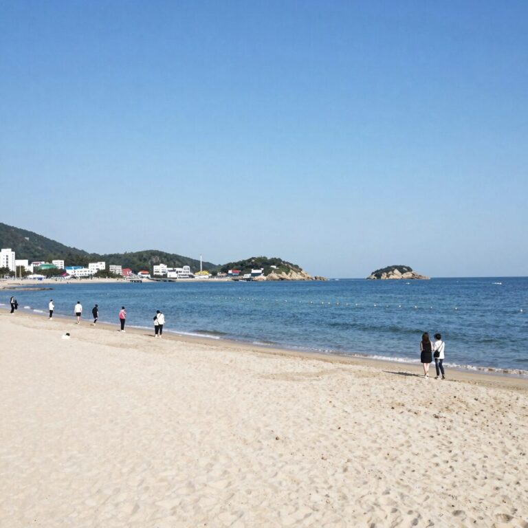 대천해수욕장 백사장과 바다 전경