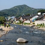 동강 펜션에서 바라본 맑은 강 풍경과 푸른 산