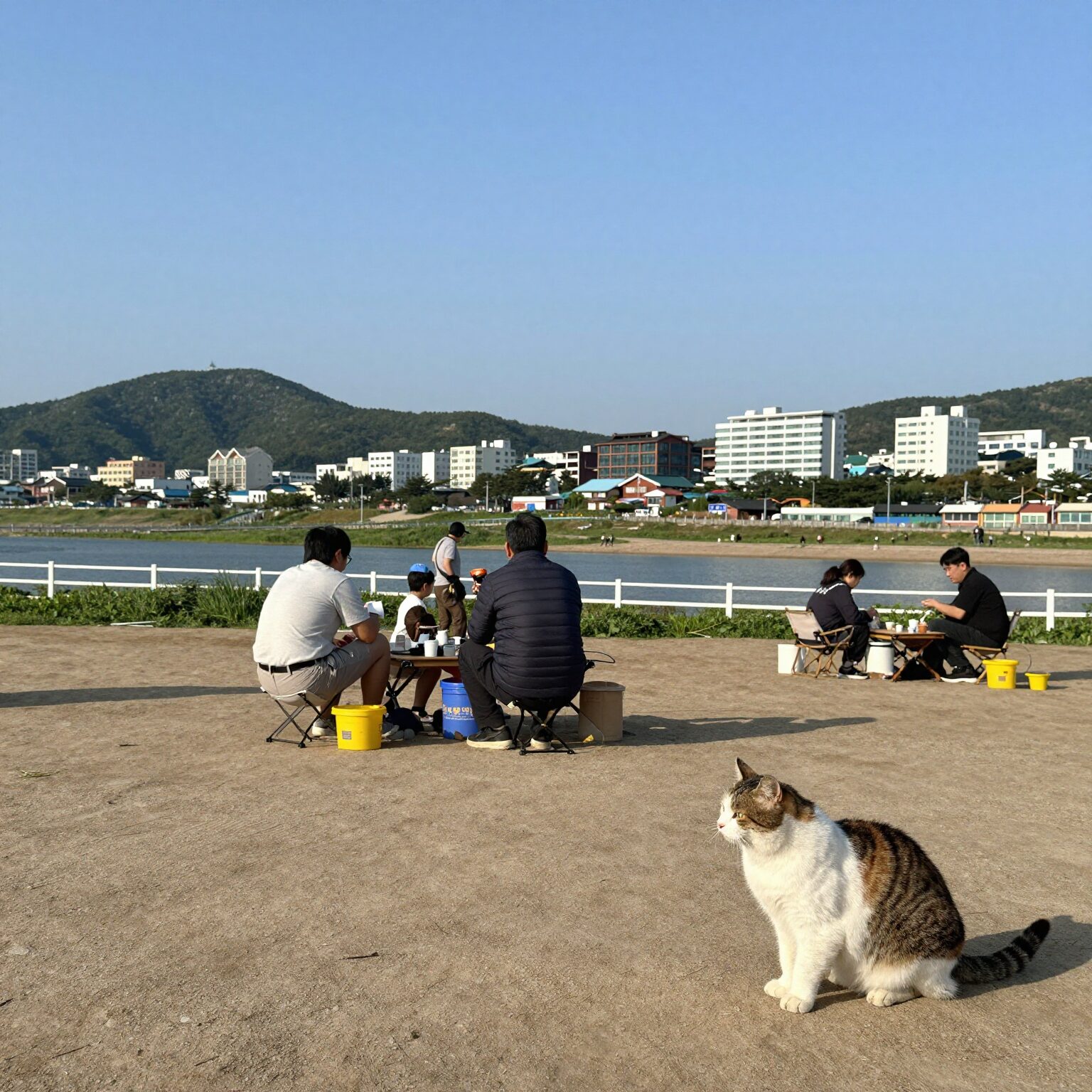동해시 글로리아펜션 바베큐장 야경과 고양이