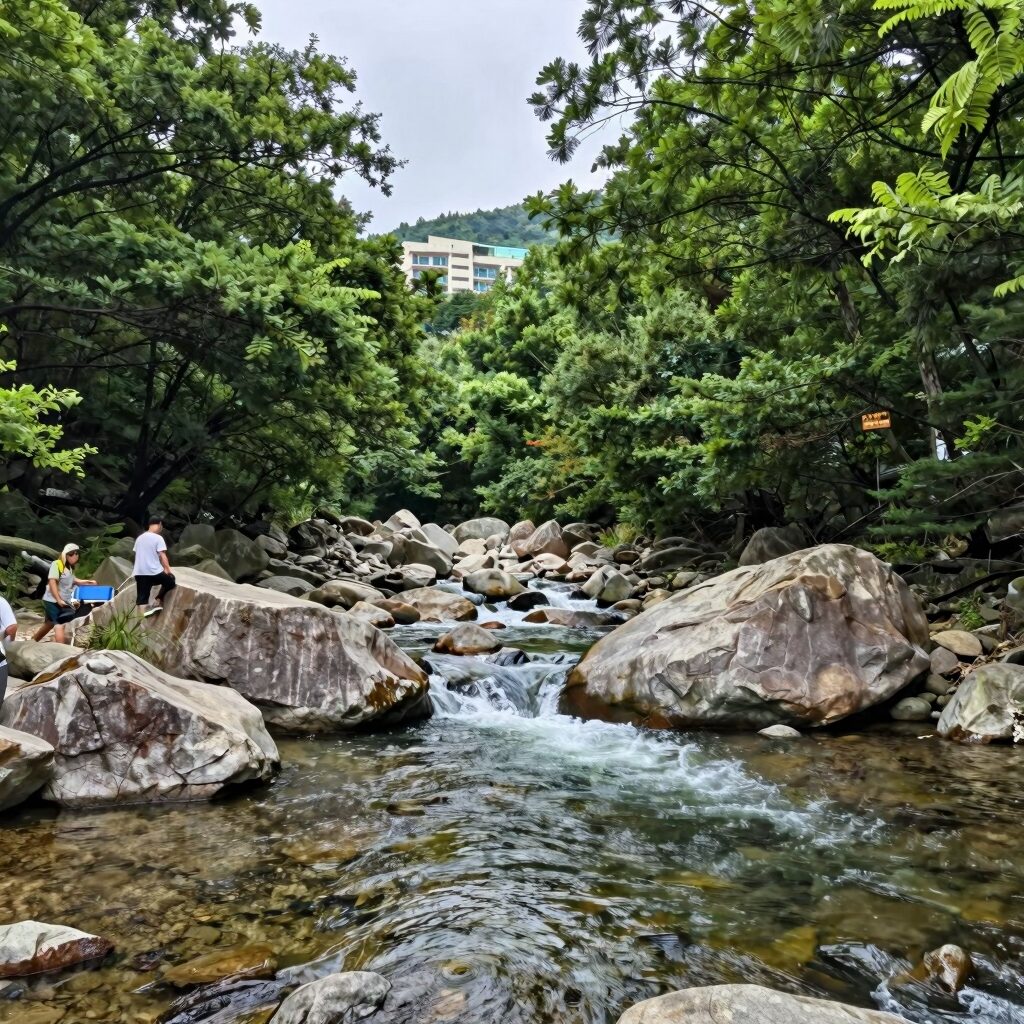 경북 청도 국립운문산 자연휴양림 계곡 전경 - 울창한 숲과 맑은 물이 어우러진 힐링 명소
