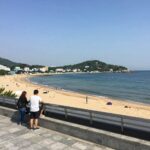 힐스노클비치 호텔 루프탑에서 바라본 장호항 바다와 주변 풍경