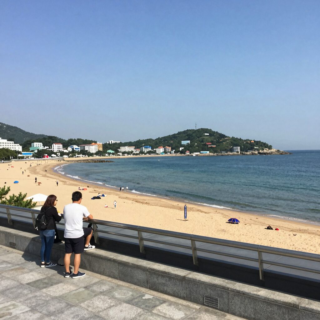 힐스노클비치 호텔 루프탑에서 바라본 장호항 바다와 주변 풍경