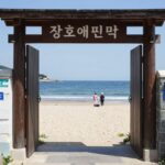 삼척 장호해변민박 솔직 예약 후기 총정리 장호해변민박 뒷문에서 바라본 장호해수욕장 풍경