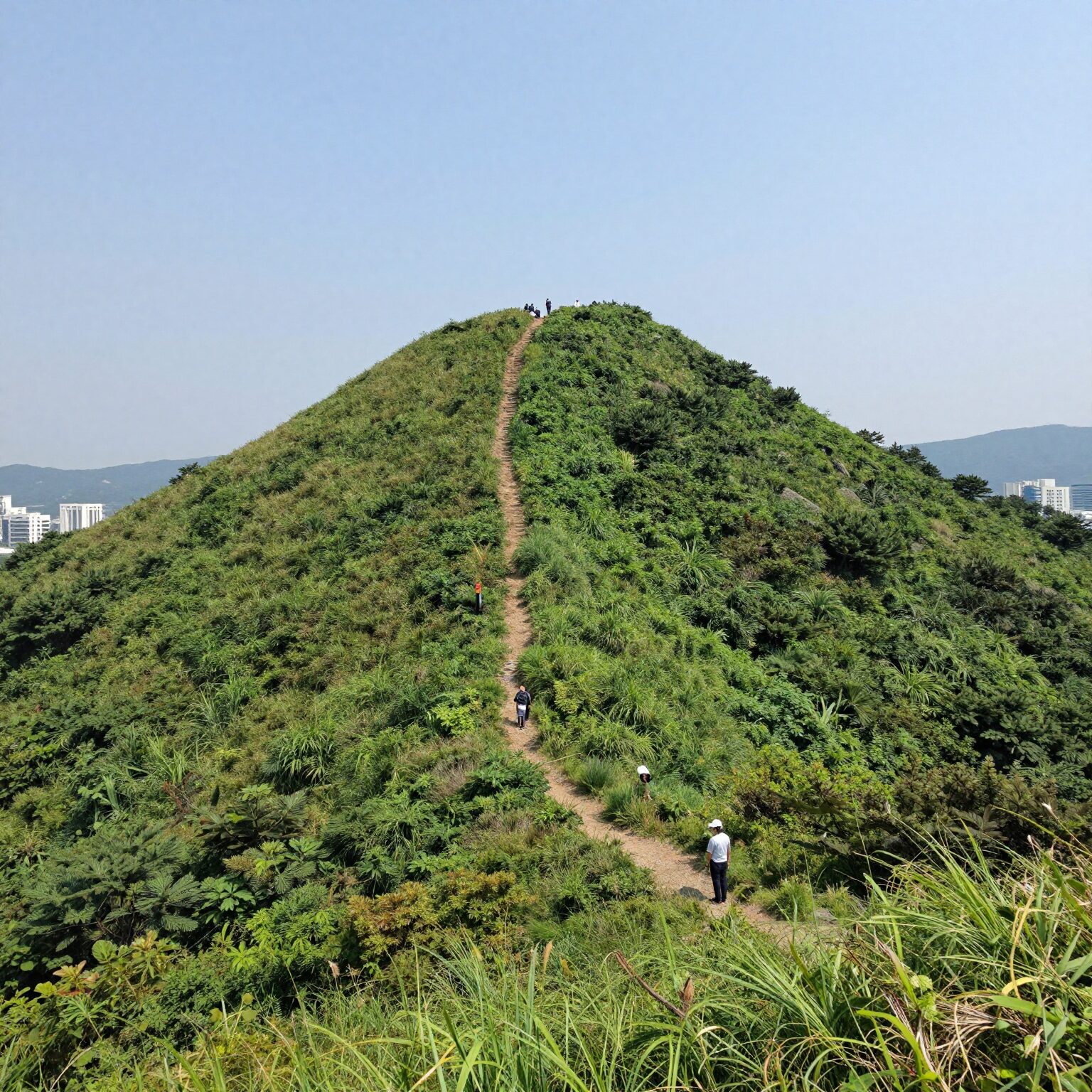 일본 양산과 해누아 암막 양산을 나란히 펼쳐 비교한 사진으로, 해누아 양산의 그늘이 더 넓고 진하다