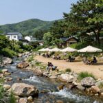 양양 오색연가 펜션 계곡 전경 청정 계곡물과 파라솔 바베큐장이 보이는 사진