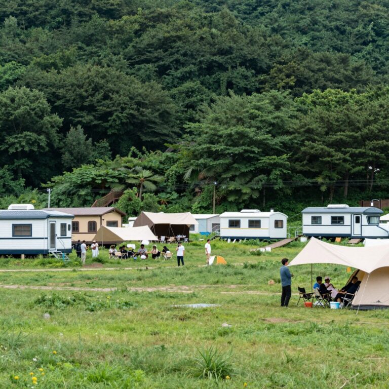 여름 휴가 충북 영동 별애드림 카라반 숲 캠핑장 전경