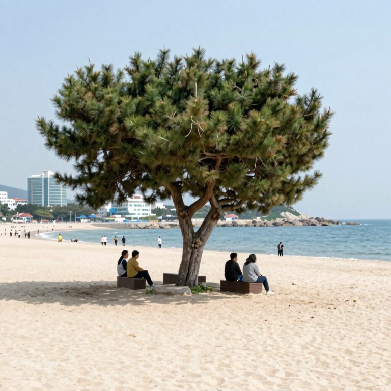 양양 서피비치 이국적인 야자수와 해변 분위기