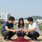 아로니아 효능과 먹는법