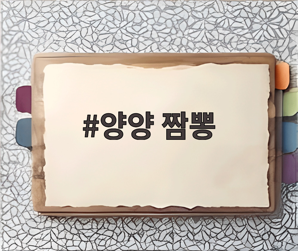 양양 짬뽕