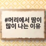 머리에서 땀이 많이 나는 이유와 관리 머리에서 땀이 많이 나는 이유