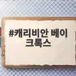 캐리비안베이 크록스 금지 이유 캐리비안 베이 크록스