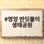 영양 반딧불이 생태공원