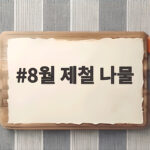 8월 제철 나물