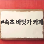 속초 바닷가 카페
