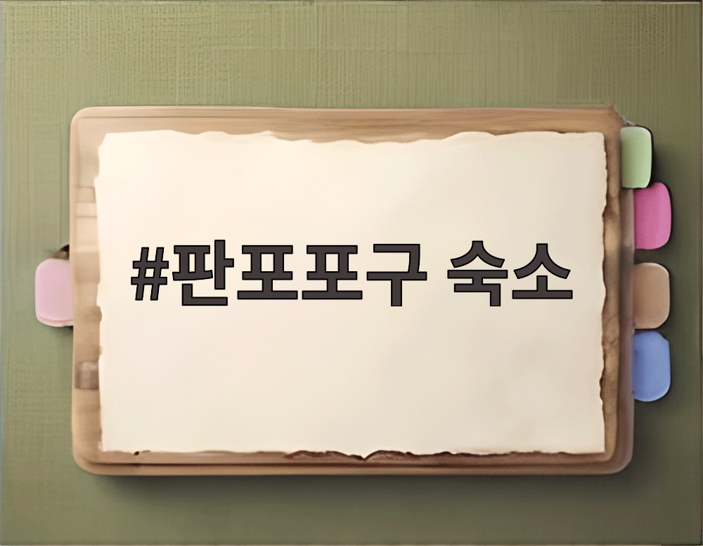 판포포구 숙소