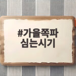 가을쪽파 심는시기