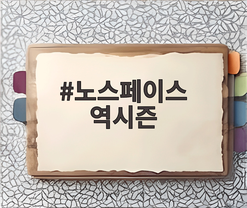 노스페이스 역시즌