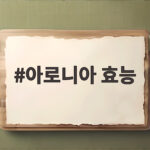 아로니아 효능