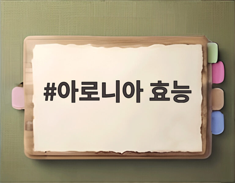 아로니아 효능