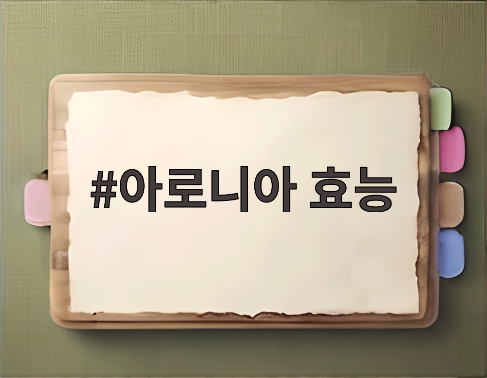 아로니아 효능