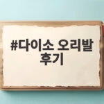 다이소 오리발 후기