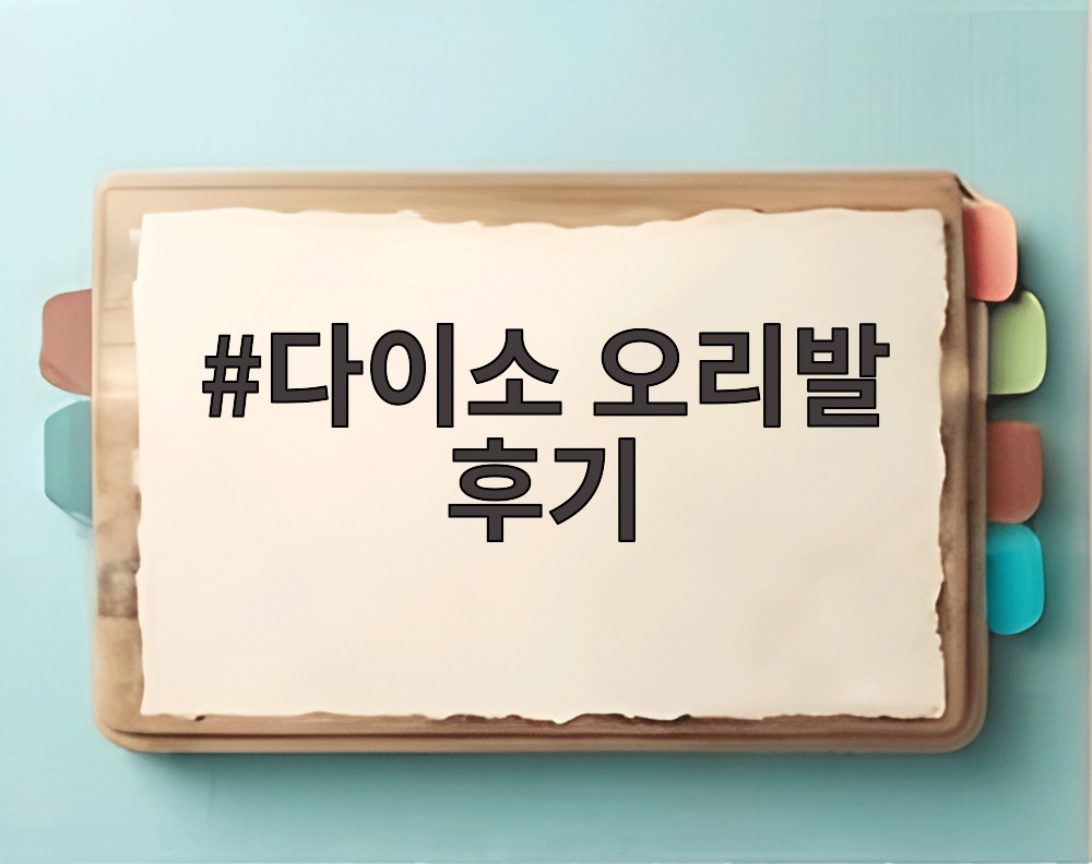 다이소 오리발 후기