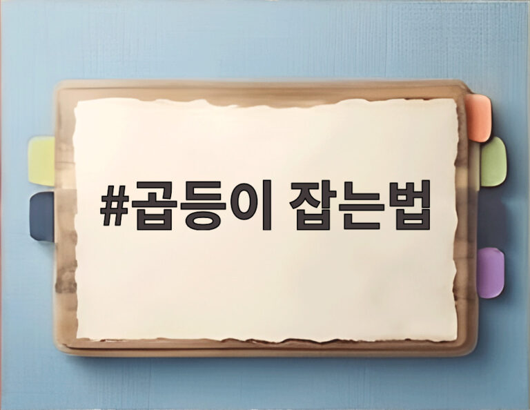 곱등이 잡는법