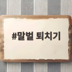 말벌 퇴치기