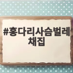 홍다리사슴벌레 채집