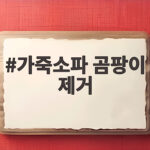 가죽소파 곰팡이 제거