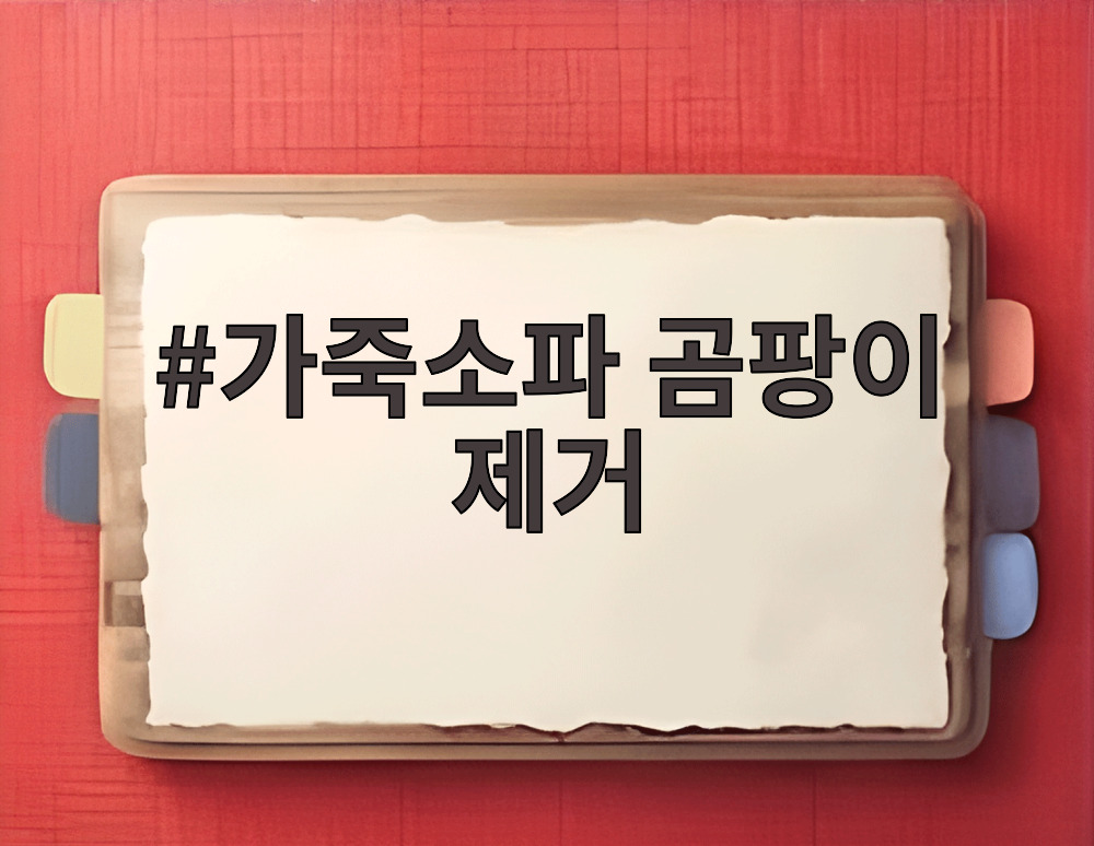 가죽소파 곰팡이 제거
