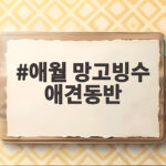 애월 망고빙수 애견동반