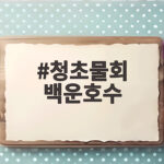 청초물회 백운호수