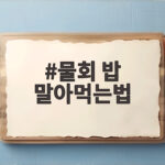 물회 밥 말아먹는법