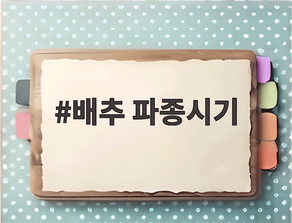 배추 파종시기